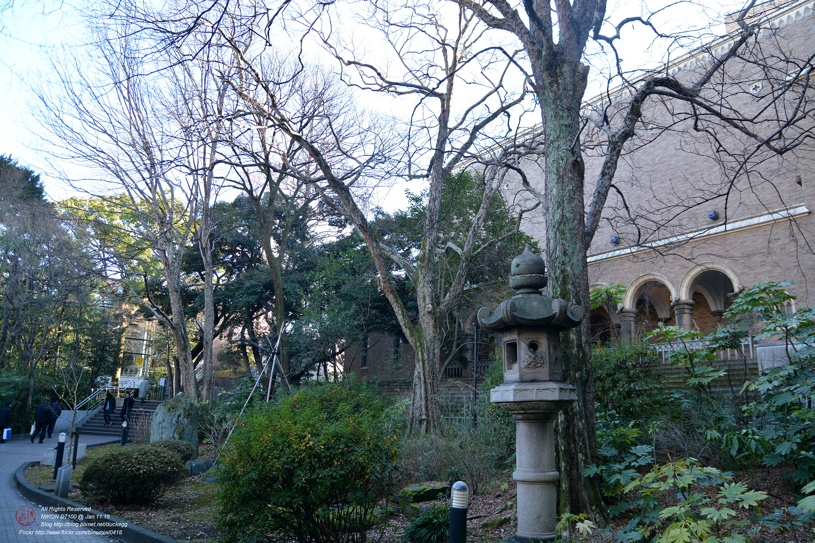 20180111120807_NIKON D7100.jpg